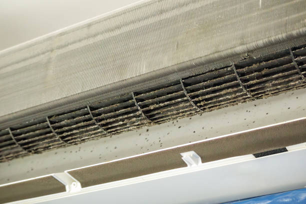 Best Professional Duct Cleaning Services  in Glenwood City, WI